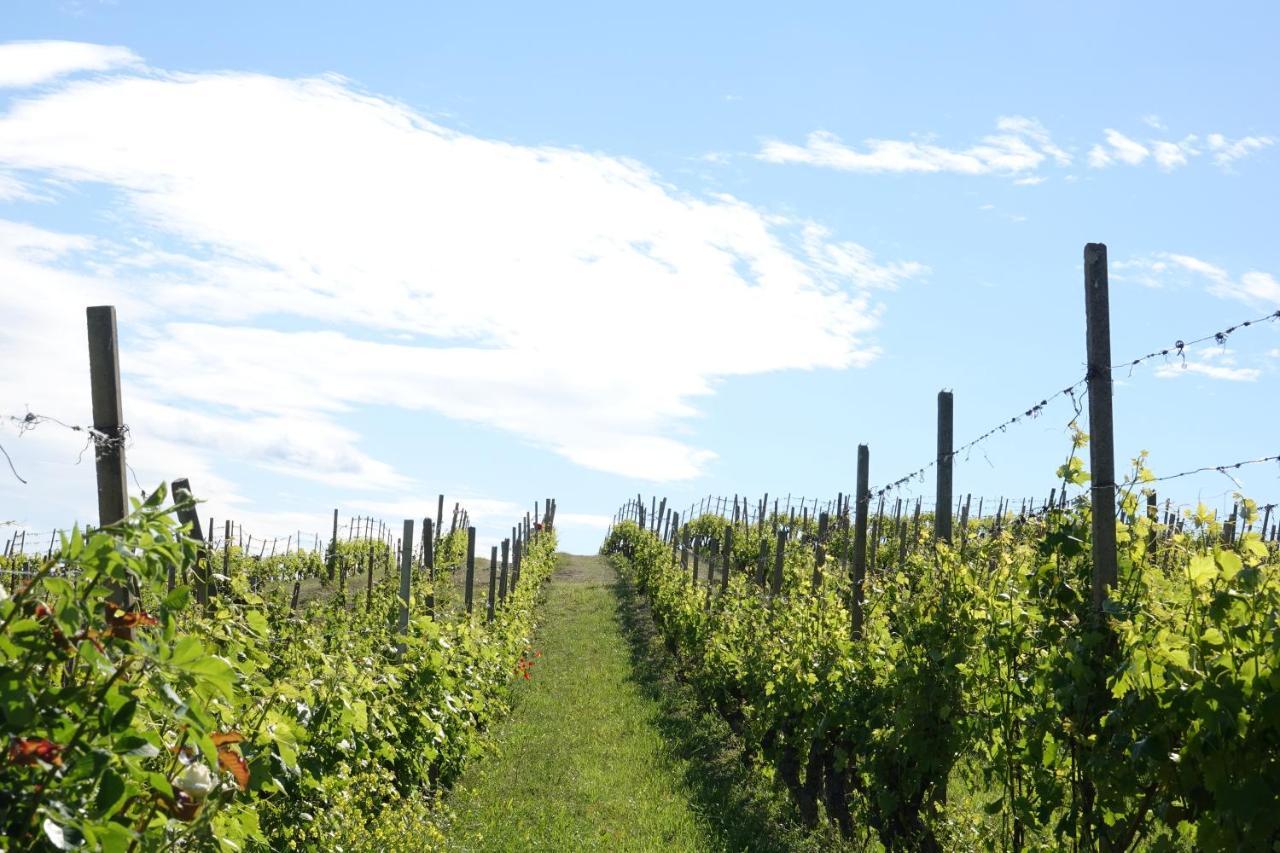 Naturalmente Wine Resort Agliano Terme Exterior photo
