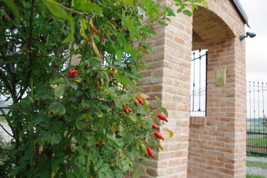 Naturalmente Wine Resort Agliano Terme Exterior photo