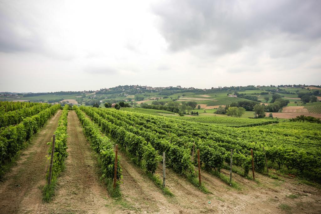 Naturalmente Wine Resort Agliano Terme Exterior photo