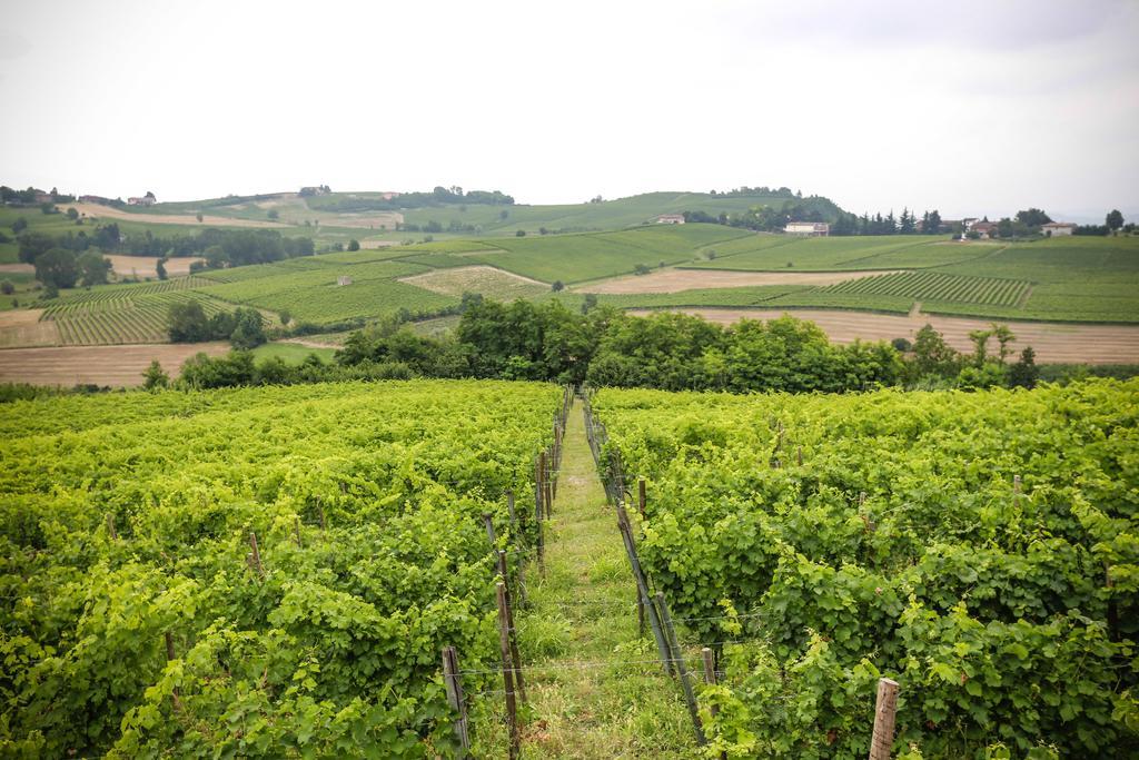 Naturalmente Wine Resort Agliano Terme Exterior photo